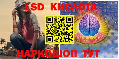 PSILOCYBIN Кунгур