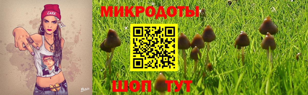 Карпинск  Галлюциногенные грибы GOLDEN TEACHER  Галлюциногенные грибы ЛСД  Вход с VPN 